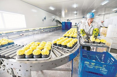 RCEP紅利顯現(xiàn) 福建農(nóng)產(chǎn)品出口迎增長(zhǎng)機(jī)遇